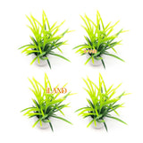 Dollhouse Mini Plastic Green Plants 4pcs