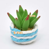 iLAND Miniature Clay Potted Plants