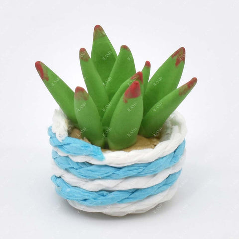 Miniature Clay Potted Plants