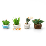 iLAND Miniature Clay Potted Plants