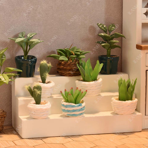 Miniature Clay Potted Plants