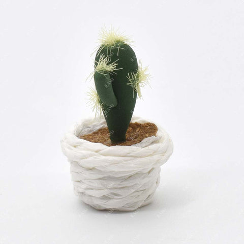 Miniature Clay Potted Plants