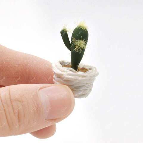 Miniature Clay Potted Plants