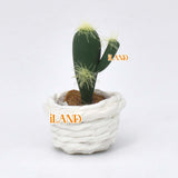 iLAND Miniature Clay Potted Plants