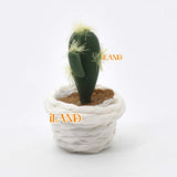 iLAND Miniature Clay Potted Plants