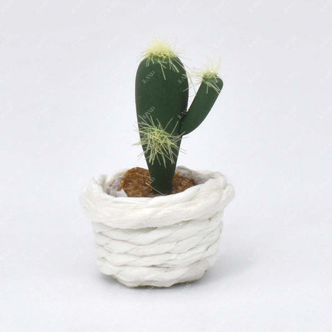 Miniature Clay Potted Plants