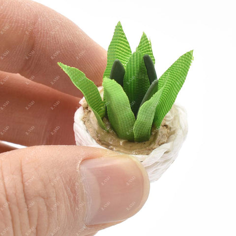 Miniature Clay Potted Plants