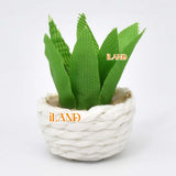 iLAND Miniature Clay Potted Plants