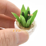 iLAND Miniature Clay Potted Plants