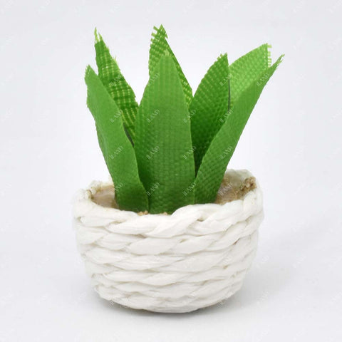 Miniature Clay Potted Plants