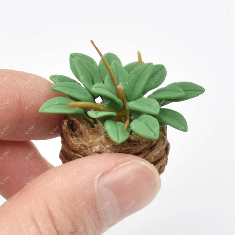 Miniature Clay Potted Plants