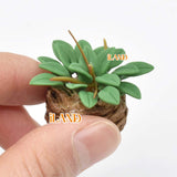 iLAND Miniature Clay Potted Plants