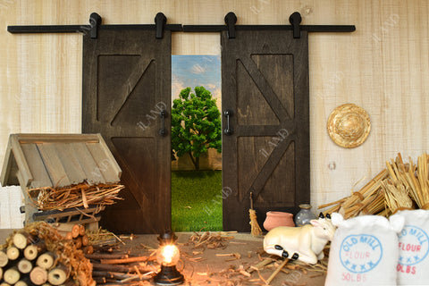 Wooden Miniature Barn Doors